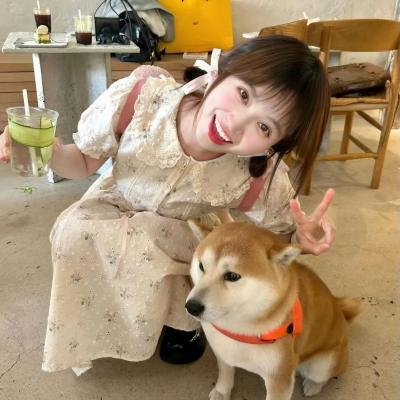丑闻笔记